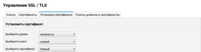 File:Cp-ssl-sertyfykat-05.png