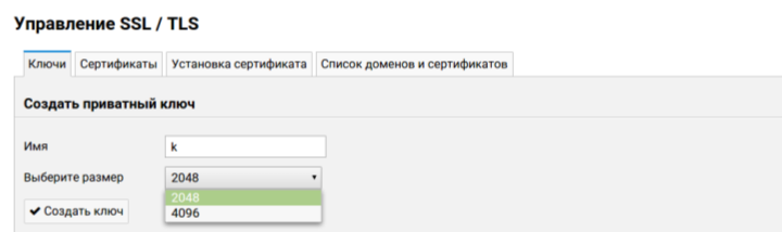 File:Cp-ssl-sertyfykat-01.png